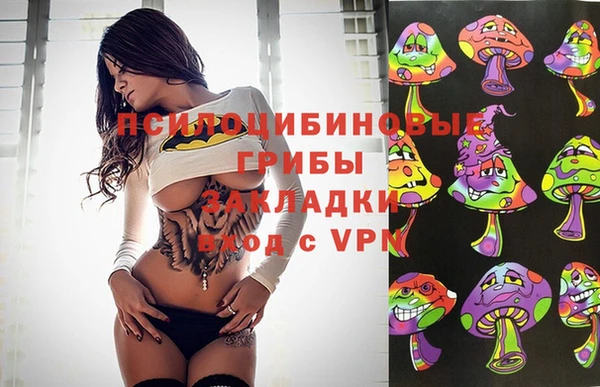 не бодяженный Алзамай
