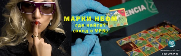 тгк Ростов