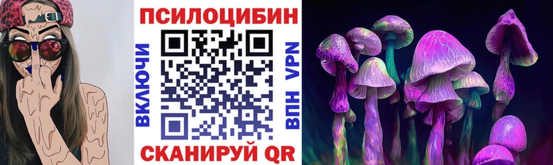 где найти наркотики  гидра рабочий сайт  Галлюциногенные грибы GOLDEN TEACHER  Каргат 
